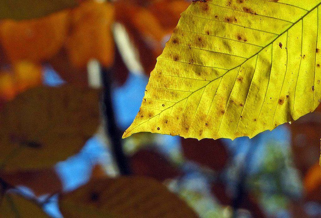 Why Colour Grading Is Vital To Corporate Video Production
