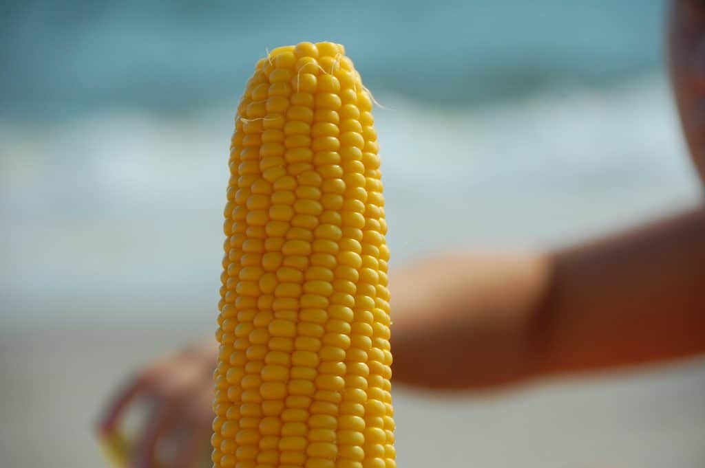 Are Corny Corporate Videos A Good Option For You?