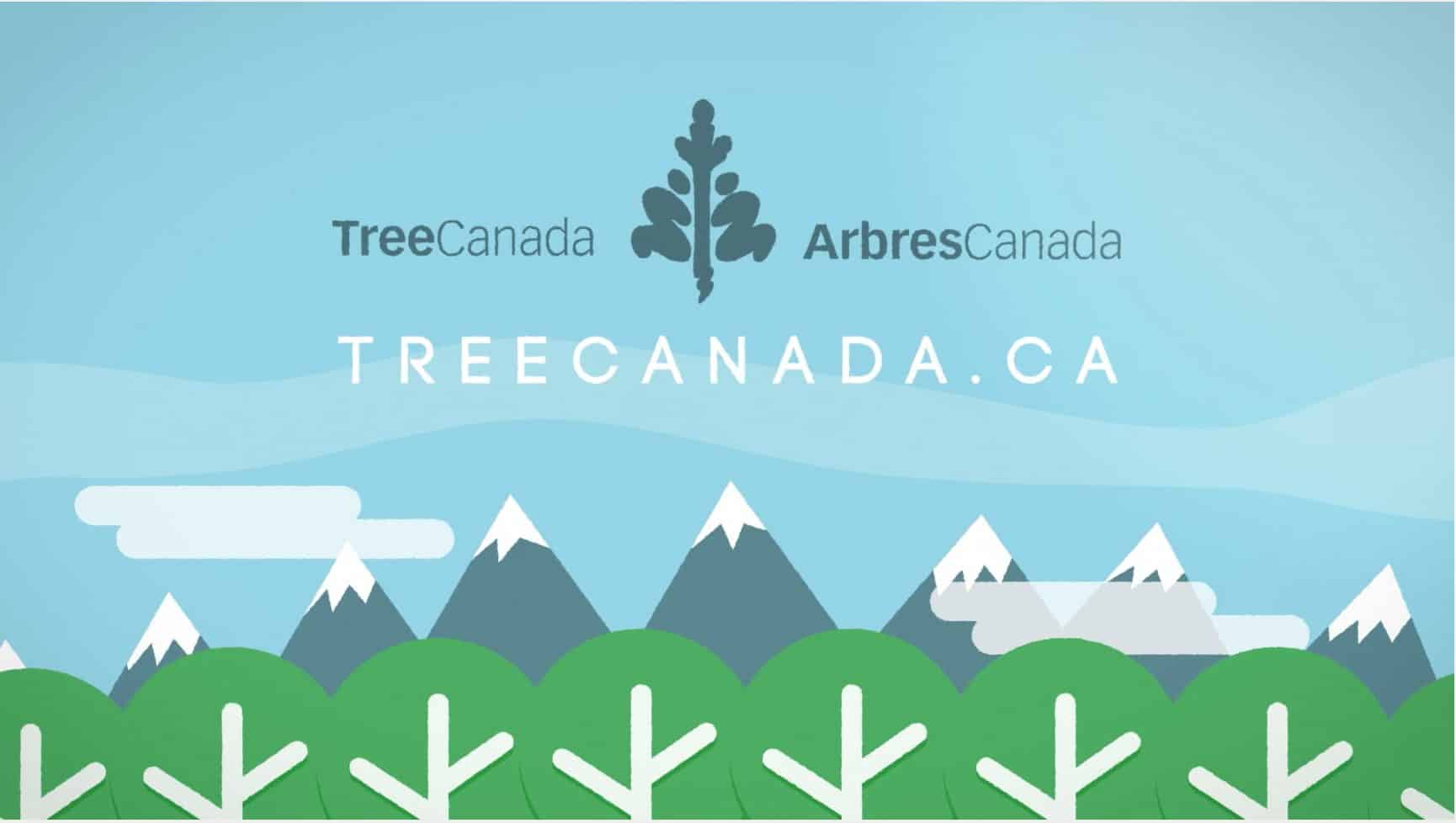 Case Study Tree Canada