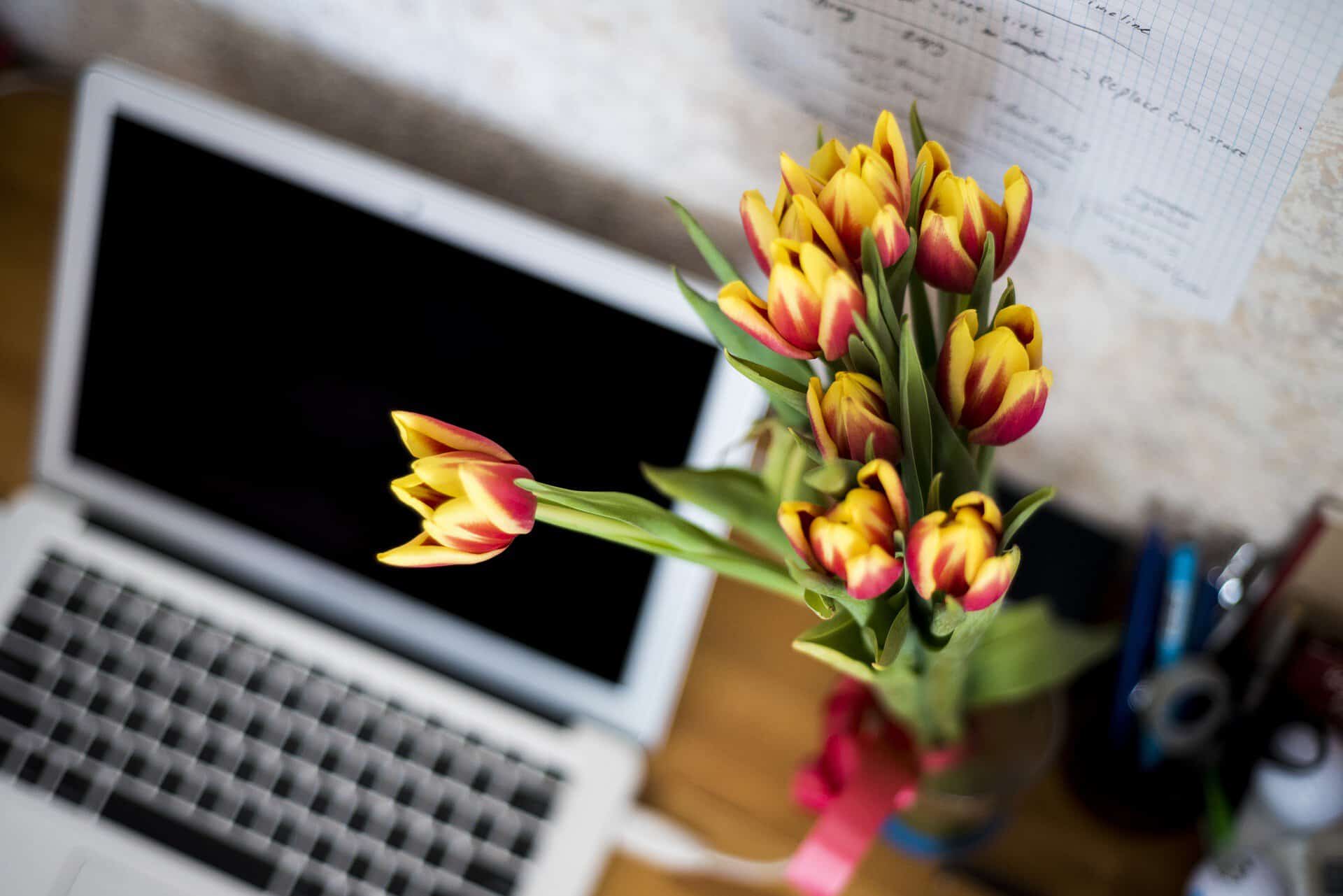 flowers in office